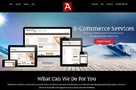 Ameriteck Webservices