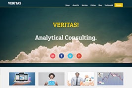 VERITAS! Analytical Consulting